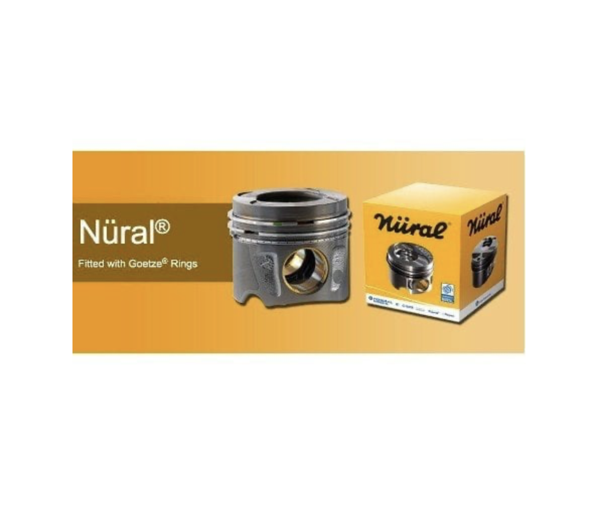 Piston Sekmanlı Focus 1.6 Motor Takım STD